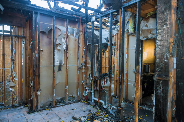 Professional Fire Damage Removal technician working in Springfield, OH